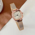 Nova Mesh Watch